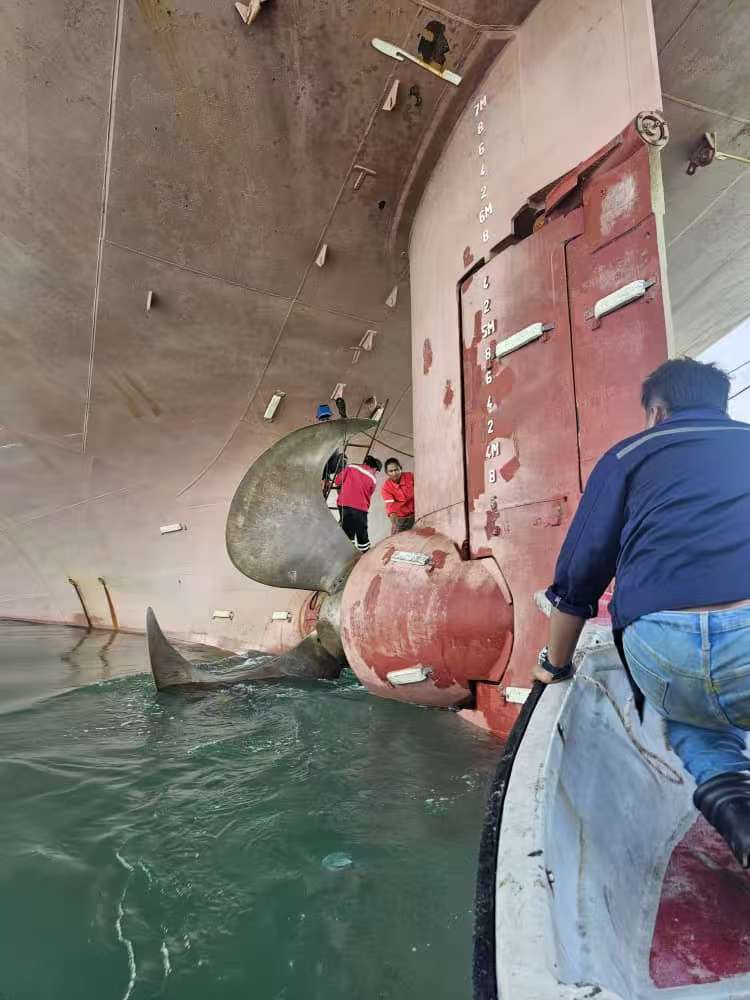 Replacing tail shaft seal